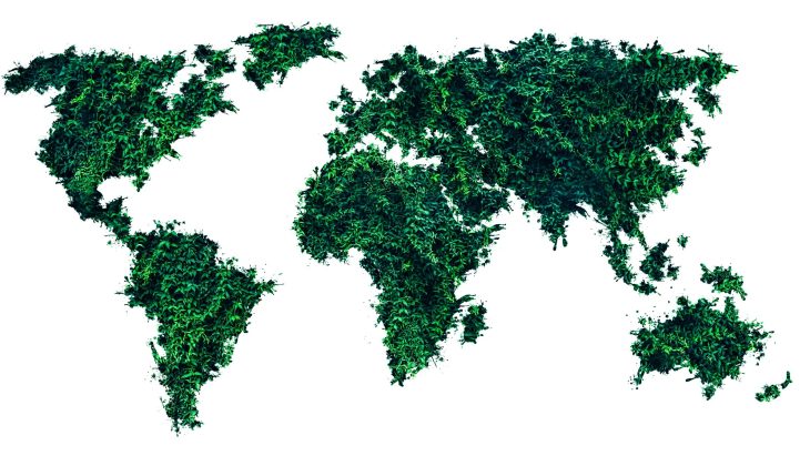 La carta amica dei boschi | Sustainable Paper Packaging & Print | TwoSide
