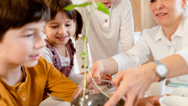 L’Educazione Ambientale, la consapevolezza nasce sui banchi di scuola. | Sustainable Paper Packaging & Print | TwoSide