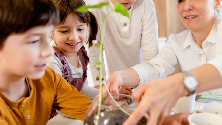 L’Educazione Ambientale, la consapevolezza nasce sui banchi di scuola. | Sustainable Paper Packaging & Print | TwoSide