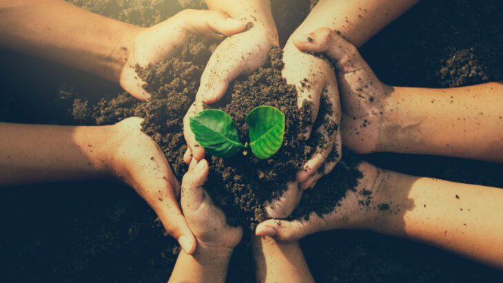 World Tree Day 2026: i custodi silenziosi della vita sul pianeta | Sustainable Paper Packaging & Print | TwoSide